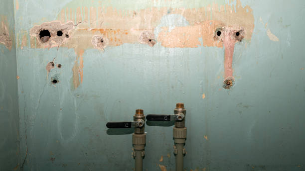 Best Local water damage restoration  in Crystal City, TX