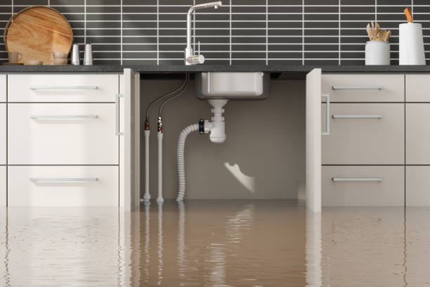 Best Carpet water damage restoration  in Crystal City, TX