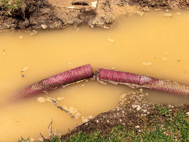 Water damage restoration experts in Crystal City, TX