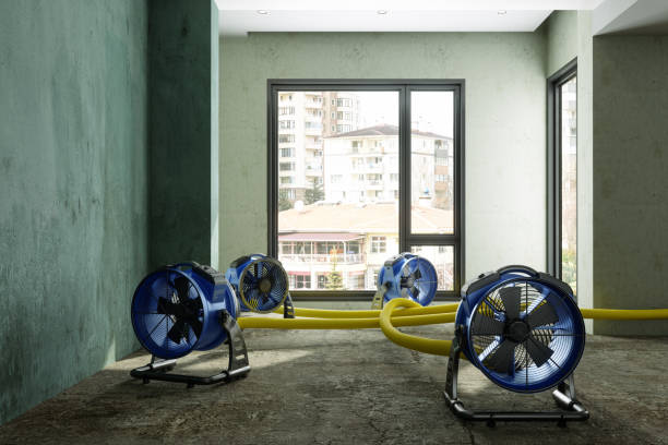 Best Fire Damage Restoration  in Crystal City, TX